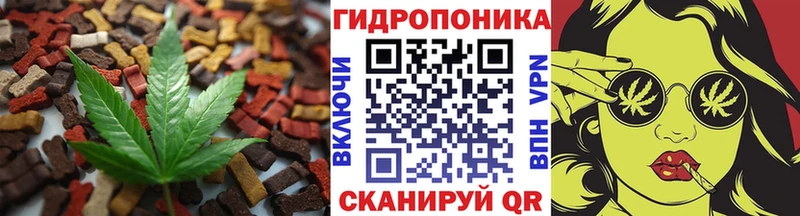 shop клад  Александровское  Cannafood конопля  гидра ONION 