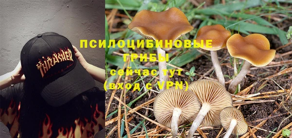 таблы Алексеевка