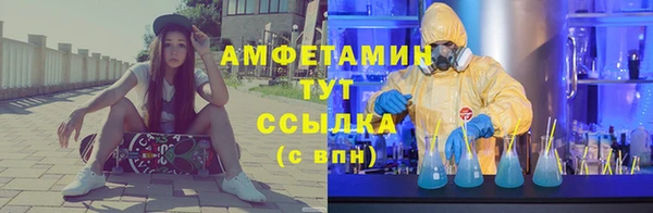 стаф Алексин