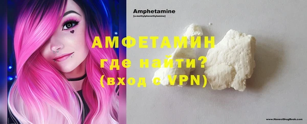 индика Нея