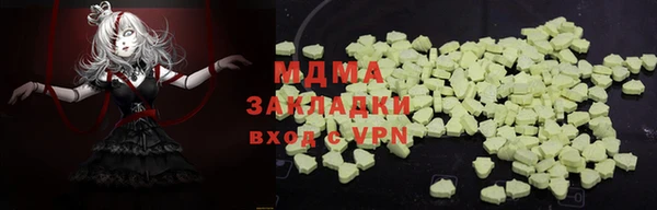 стаф Алексин