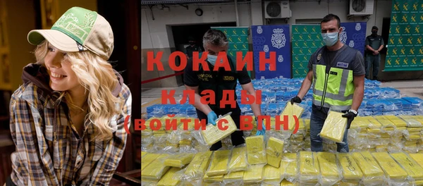стаф Алексин