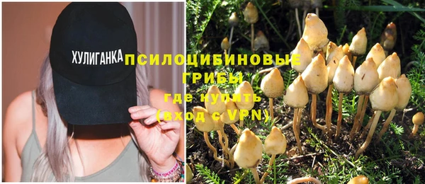 стаф Алексин