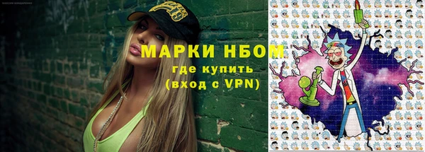 стаф Алексин