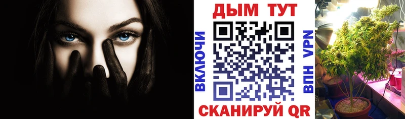 даркнет сайт Александровское Шишки марихуана Amnesia